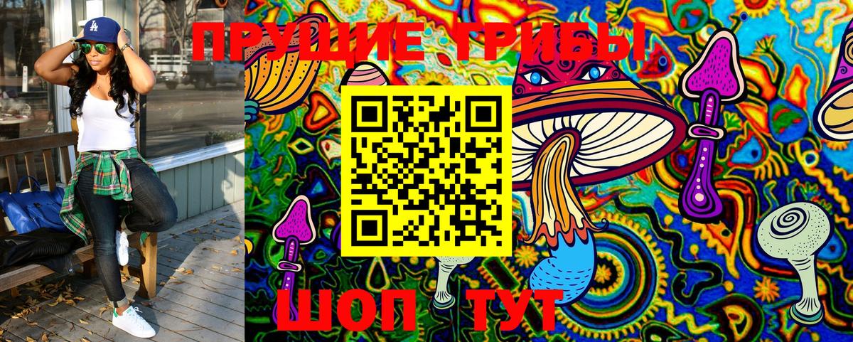Галлюциногенные грибы MAGIC MUSHROOMS  Галлюциногенные грибы мухоморы  Чита  Вход с VPN 